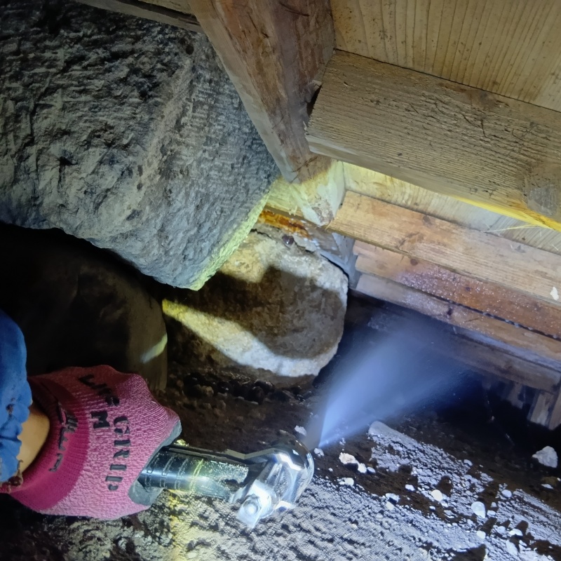 築年数50年のシロアリ駆除の施工事例（山形県最上郡舟形町長沢）