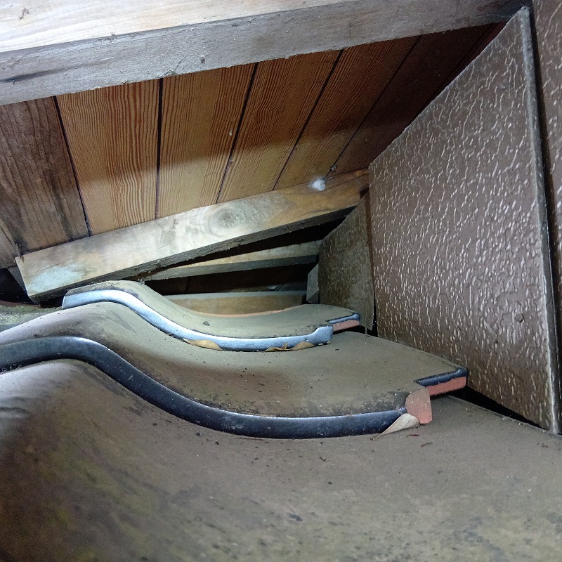 アライグマ駆除の施工事例（茨城県行方市手賀）