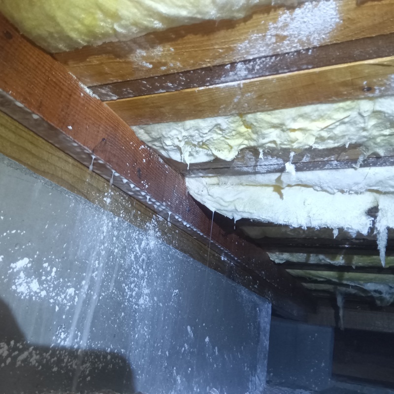 地面・基礎にシロアリ駆除剤を散布した様子