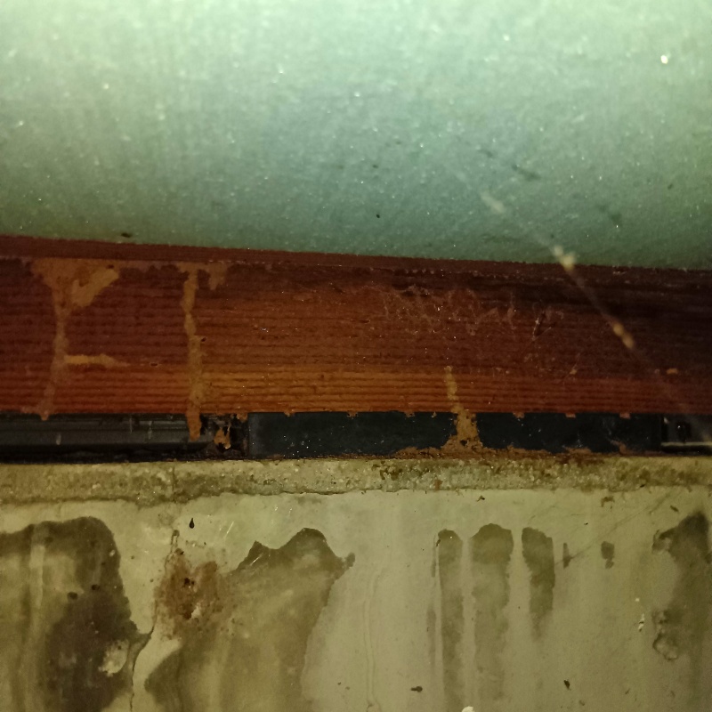 シロアリ駆除の施工事例（徳島県阿南市中林町）