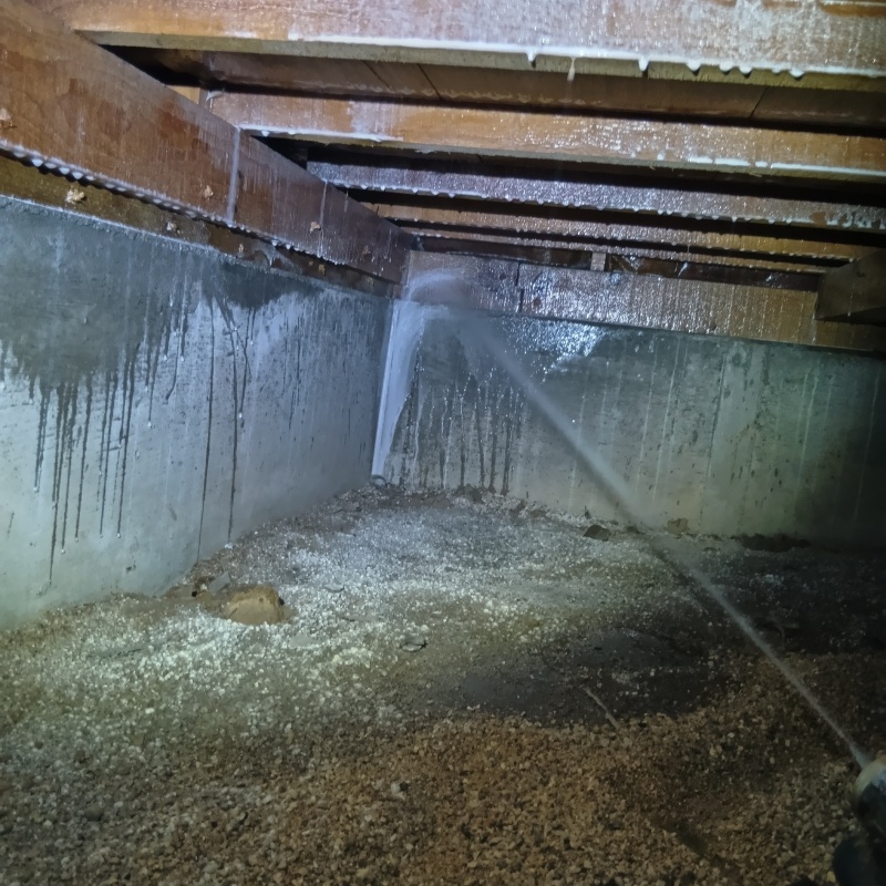 地面・基礎にシロアリ駆除剤を散布