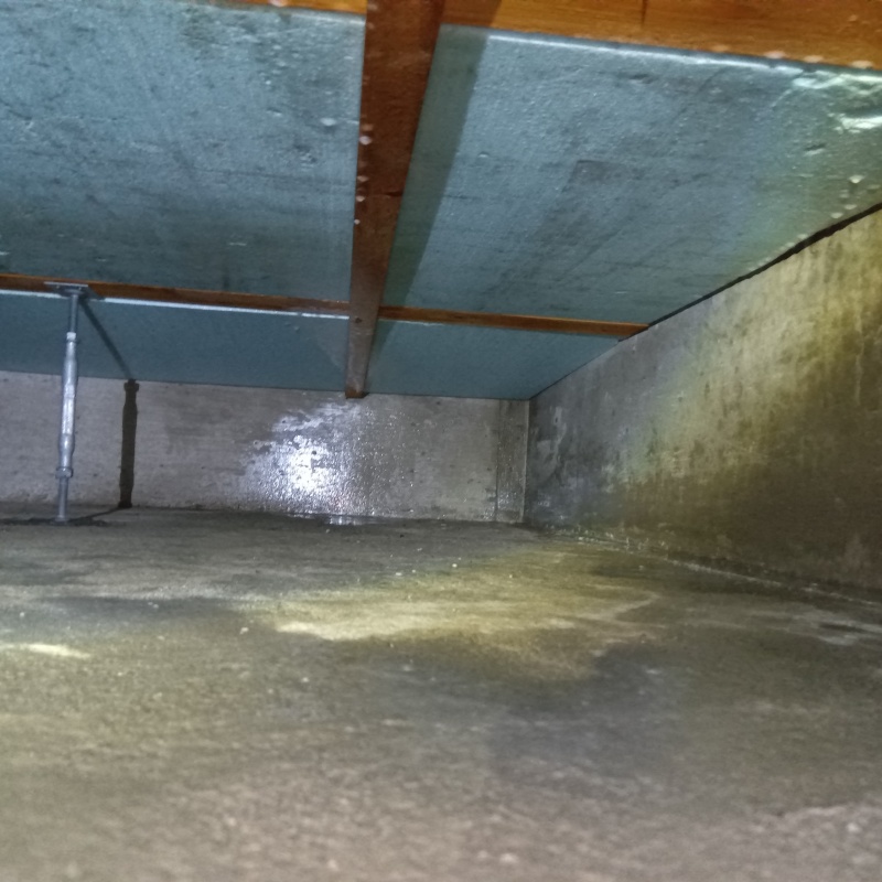 地面・基礎に防蟻剤を散布した様子