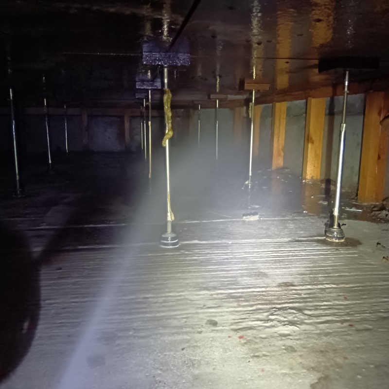 シロアリ駆除の施工事例（神奈川県川崎市幸区遠藤町）