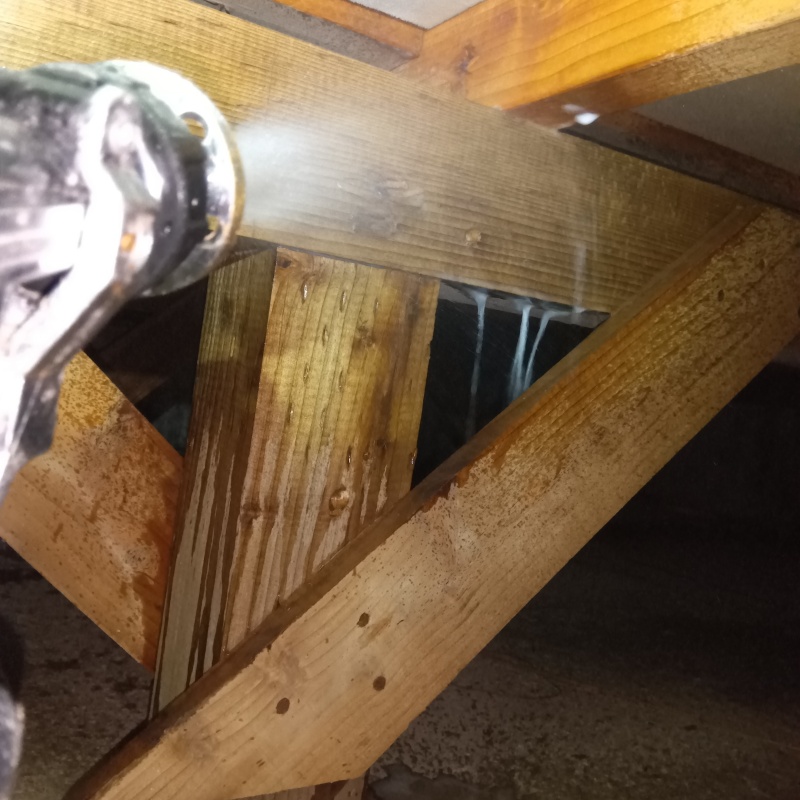 床下の木材に防蟻剤を散布