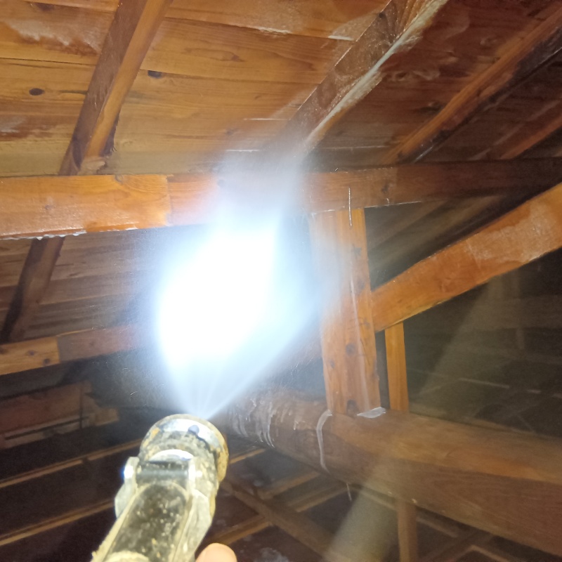 屋根裏にシロアリ駆除剤を散布