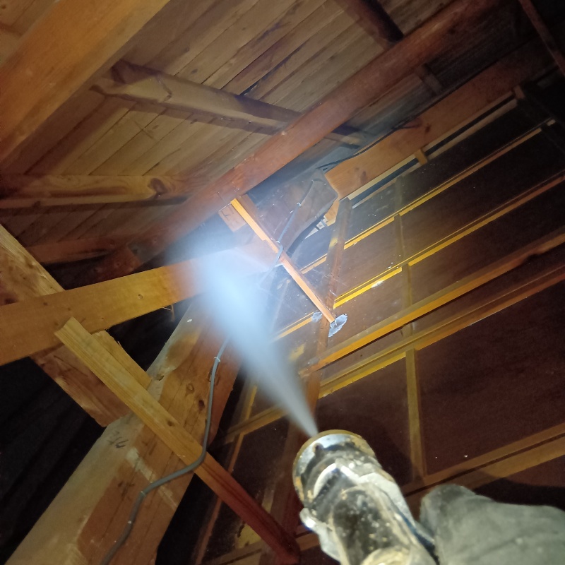 屋根裏にシロアリ駆除剤を散布