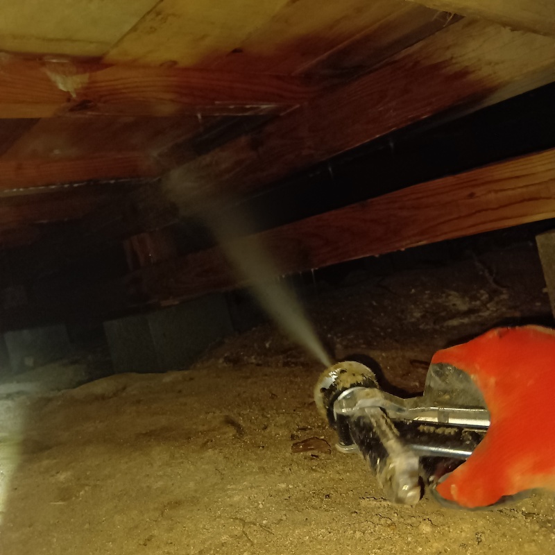 床下の木材にシロアリ駆除剤を散布