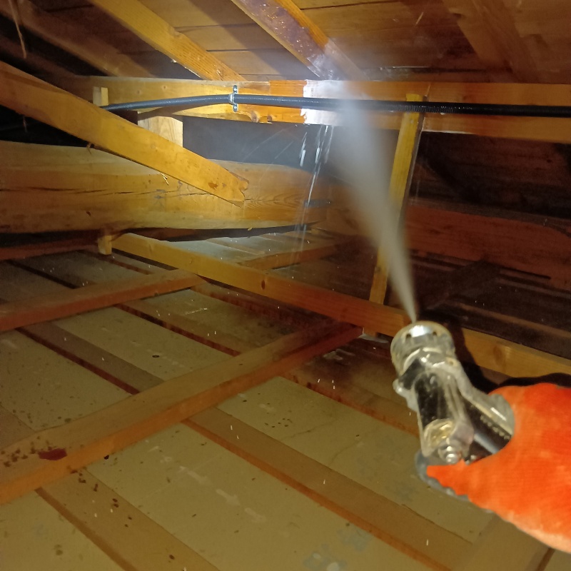 屋根裏にシロアリ駆除剤を散布