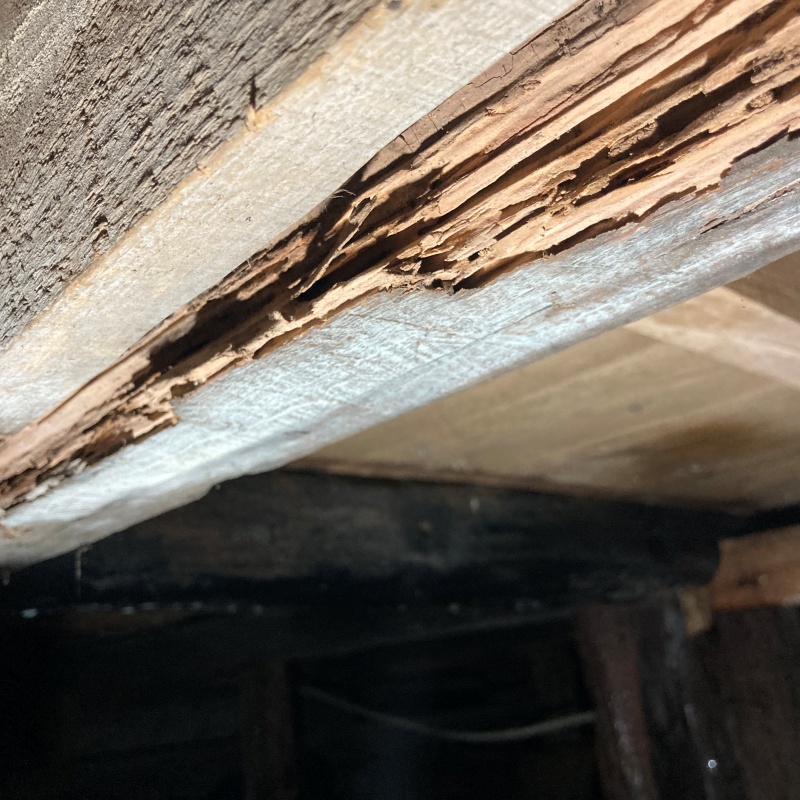 シロアリ駆除の施工事例（岐阜県中津川市駒場）