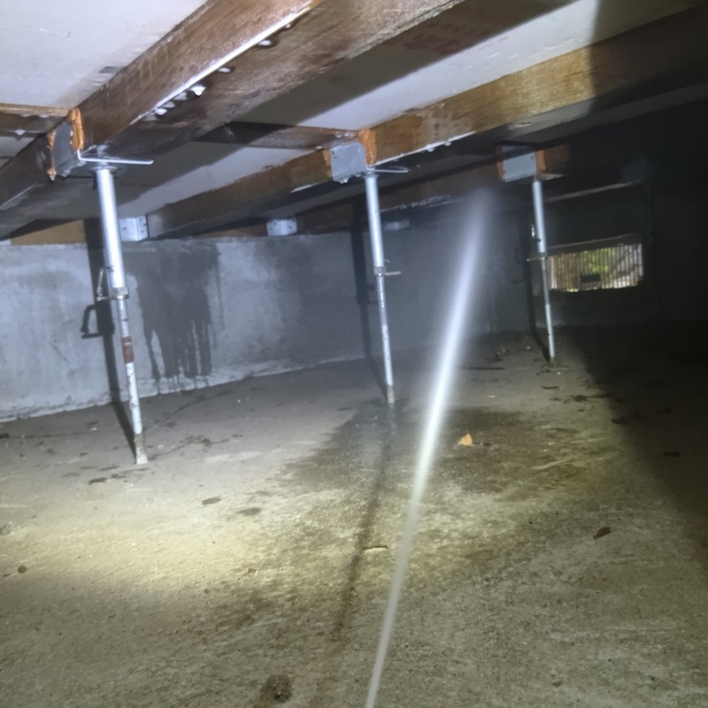 床下の木材に防蟻剤を散布