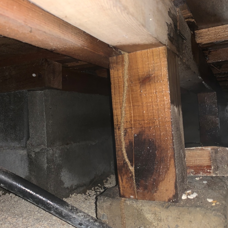 築年数50年のシロアリ駆除の施工事例（三重県四日市市日永西）