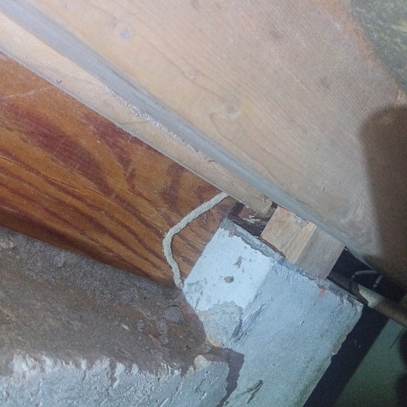 築年数28 年のシロアリ駆除の施工事例（神奈川県横浜市港南区港南台）