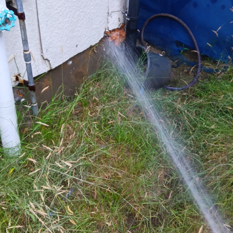 築年数50年のシロアリ駆除の施工事例（山形県酒田市新橋）