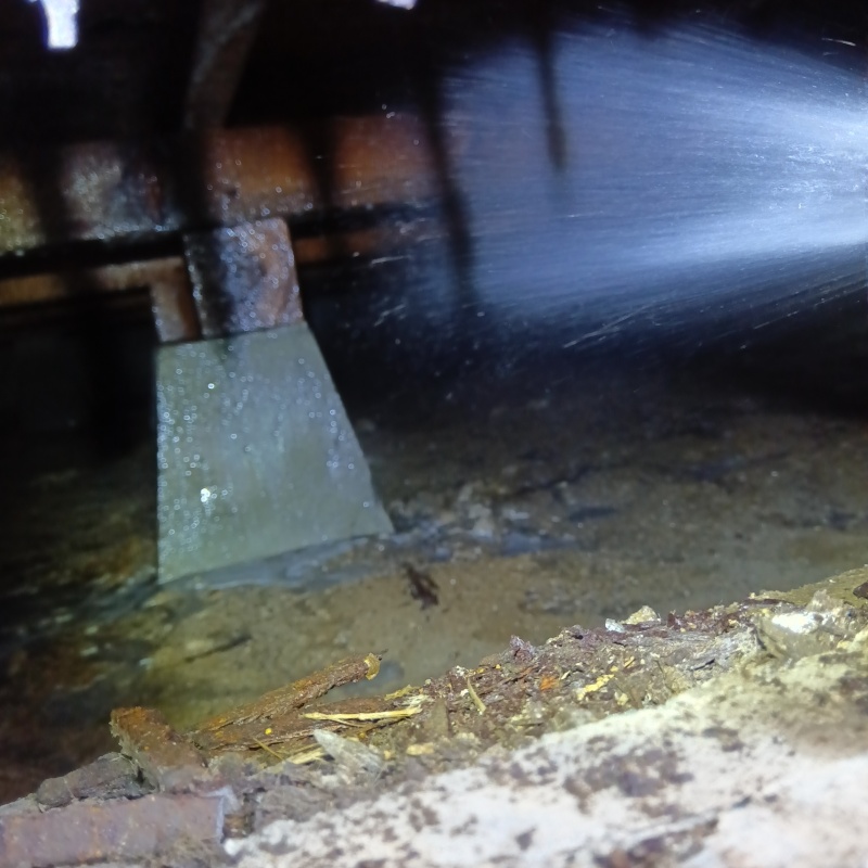 床下の木材にシロアリ駆除剤を散布