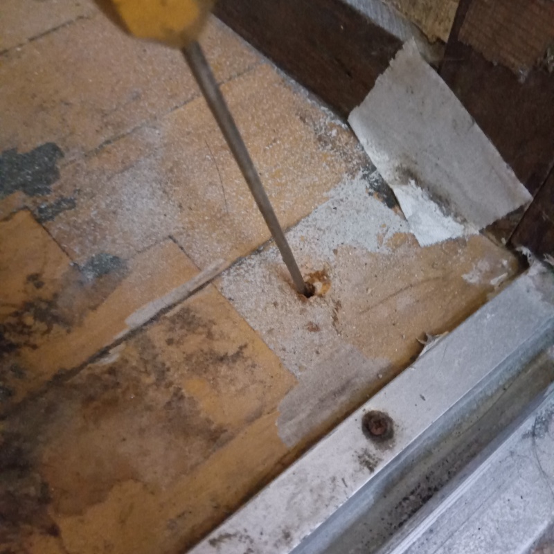 傷んだ木部にシロアリ駆除剤を注入