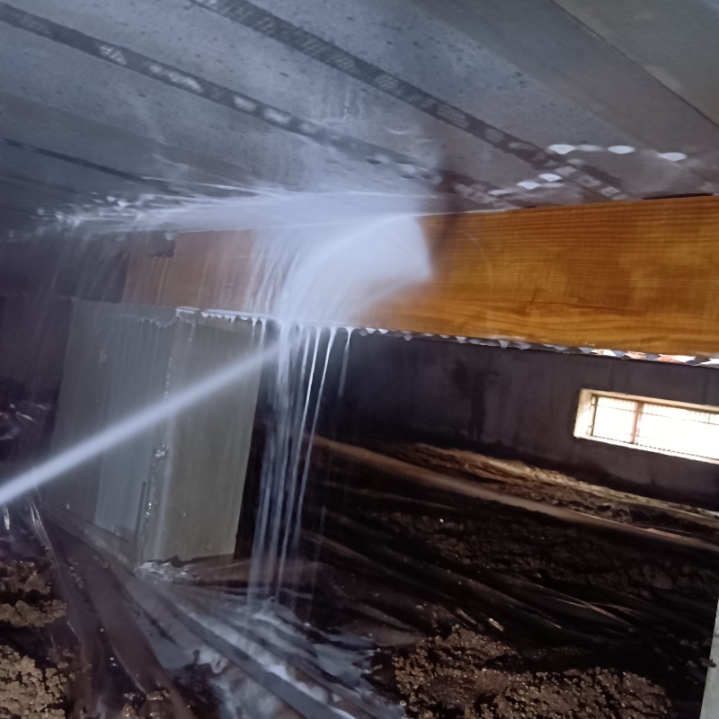 床下の木材にシロアリ駆除剤を散布