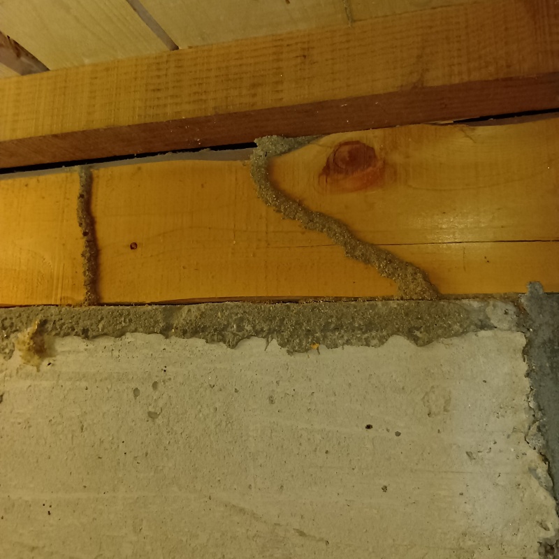 築年数36年のシロアリ駆除の施工事例（福岡県遠賀郡遠賀町浅木）