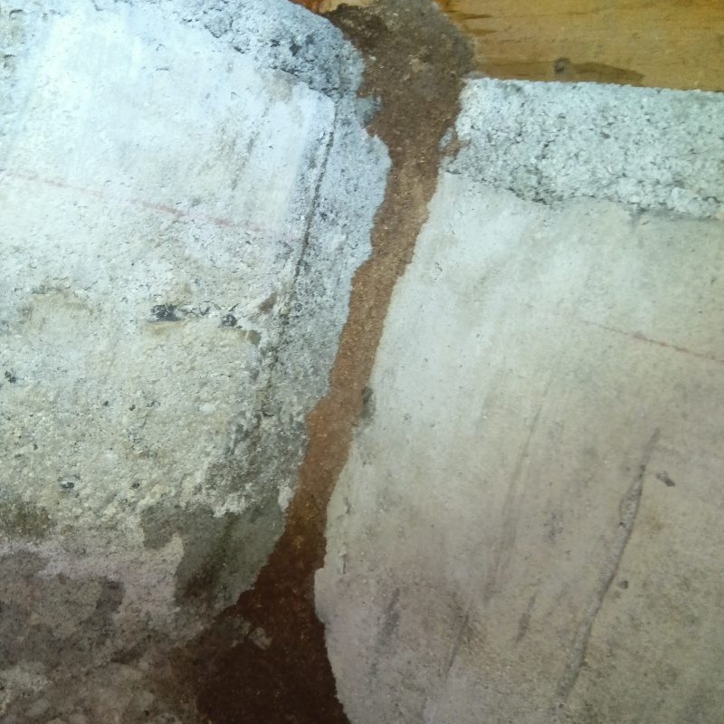 築年数50年のシロアリ駆除の施工事例（大分県別府市南立石一区）