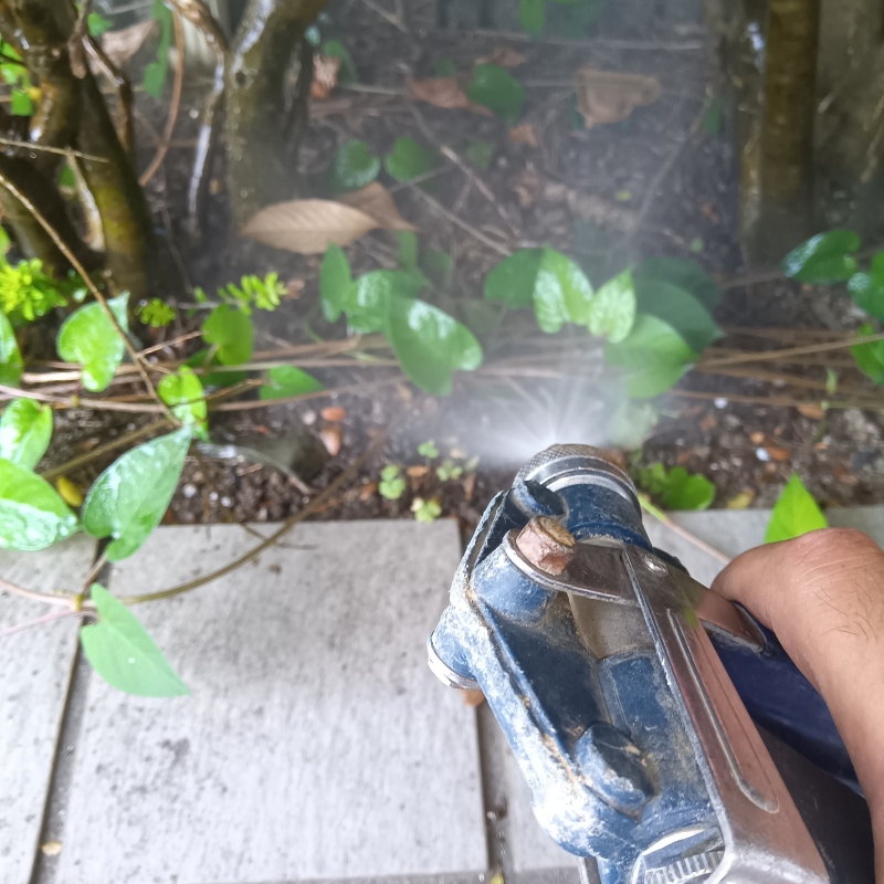 屋外の地面にシロアリ駆除剤を散布