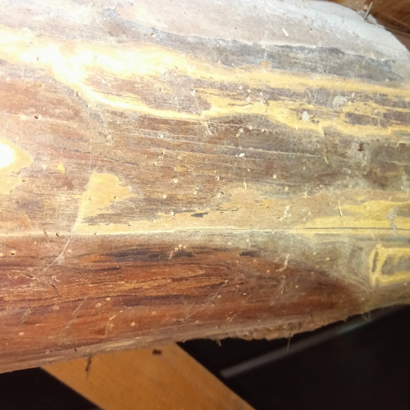 シロアリ駆除の施工事例（佐賀県鹿島市大字高津原）