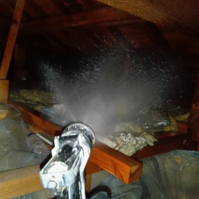 屋根裏にシロアリ駆除剤を散布