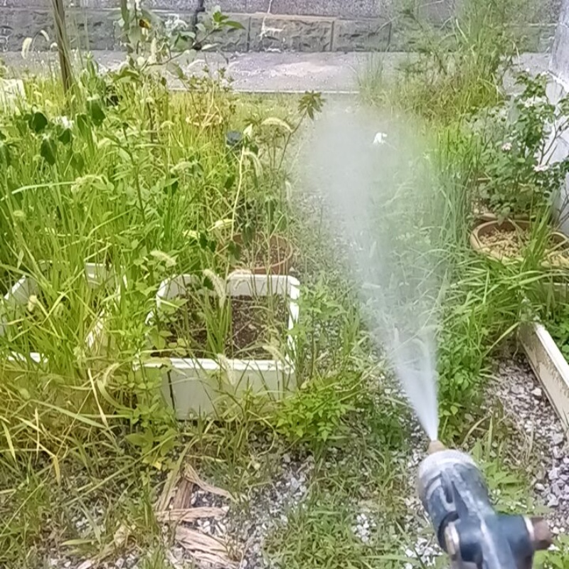 屋外の地面にシロアリ駆除剤を散布