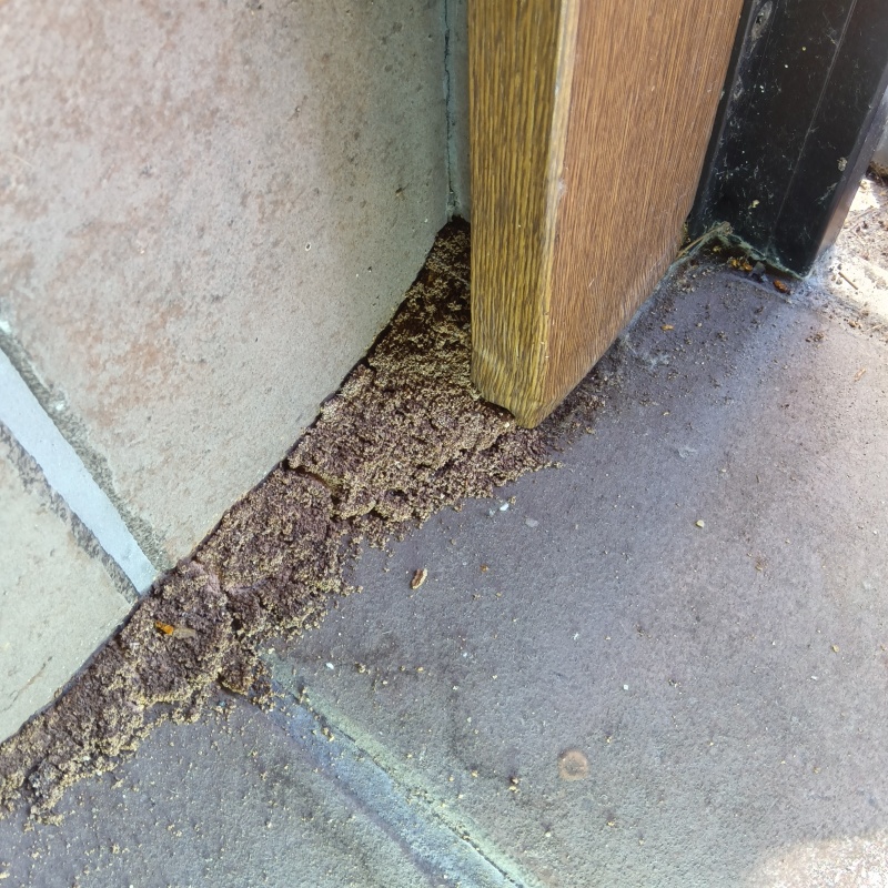 築年数25年のシロアリ駆除の施工事例（大阪府大阪市港区）