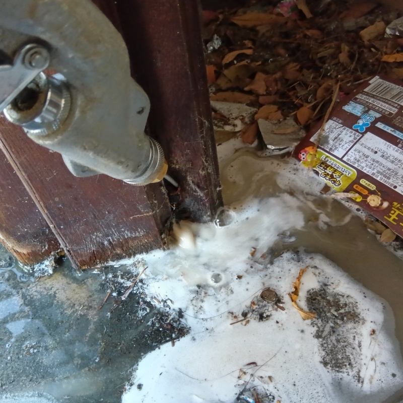 地面にシロアリ駆除剤を散布