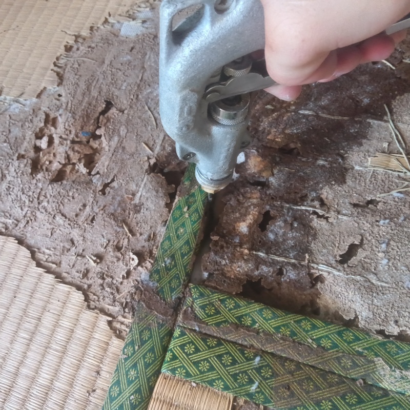 腐食した畳にシロアリ駆除剤を散布