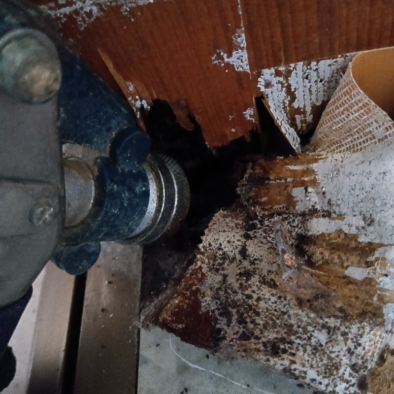 傷んだ柱にシロアリ駆除剤を注入