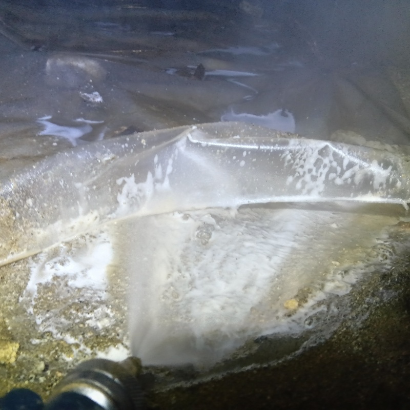 床下の地面にシロアリ駆除剤を散布