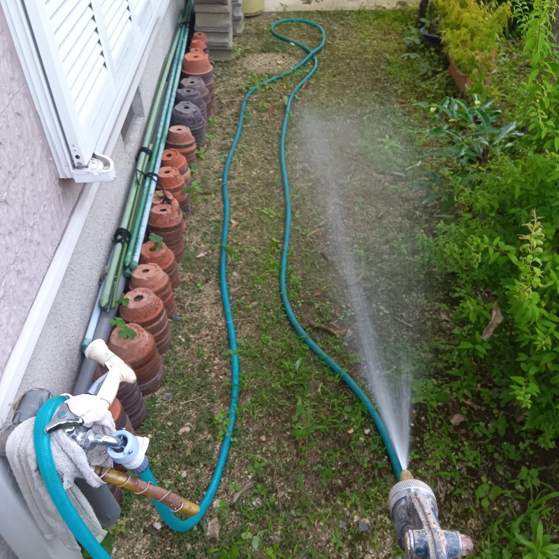 屋外の地面にシロアリ駆除剤を散布