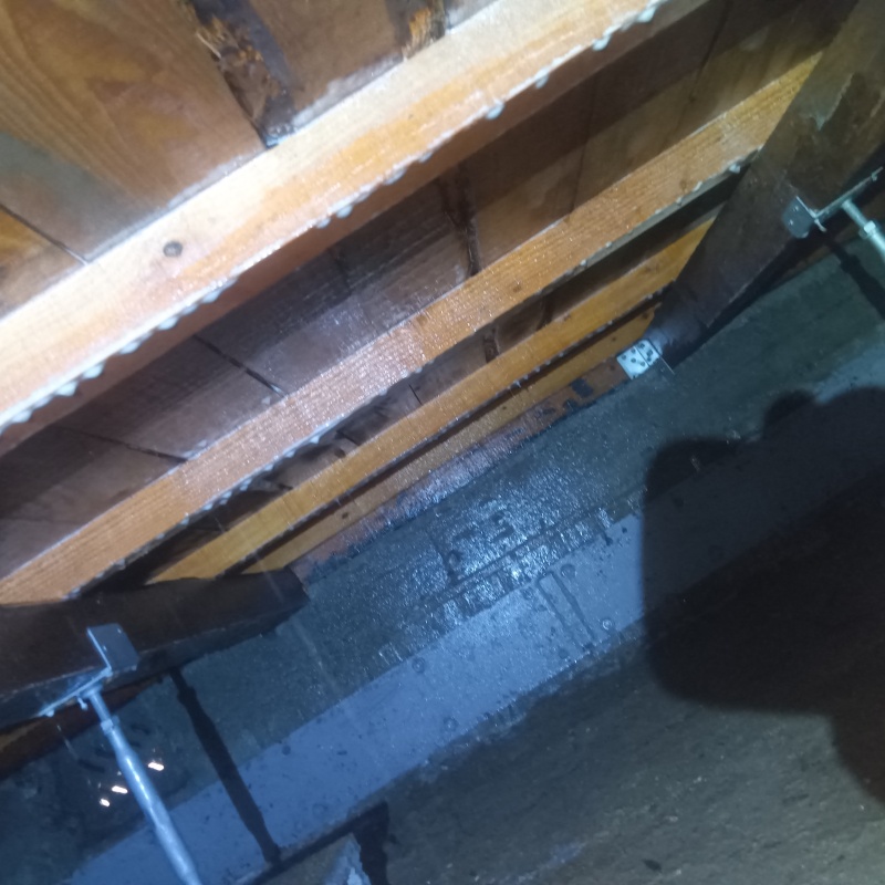 土壌処理が完了した様子