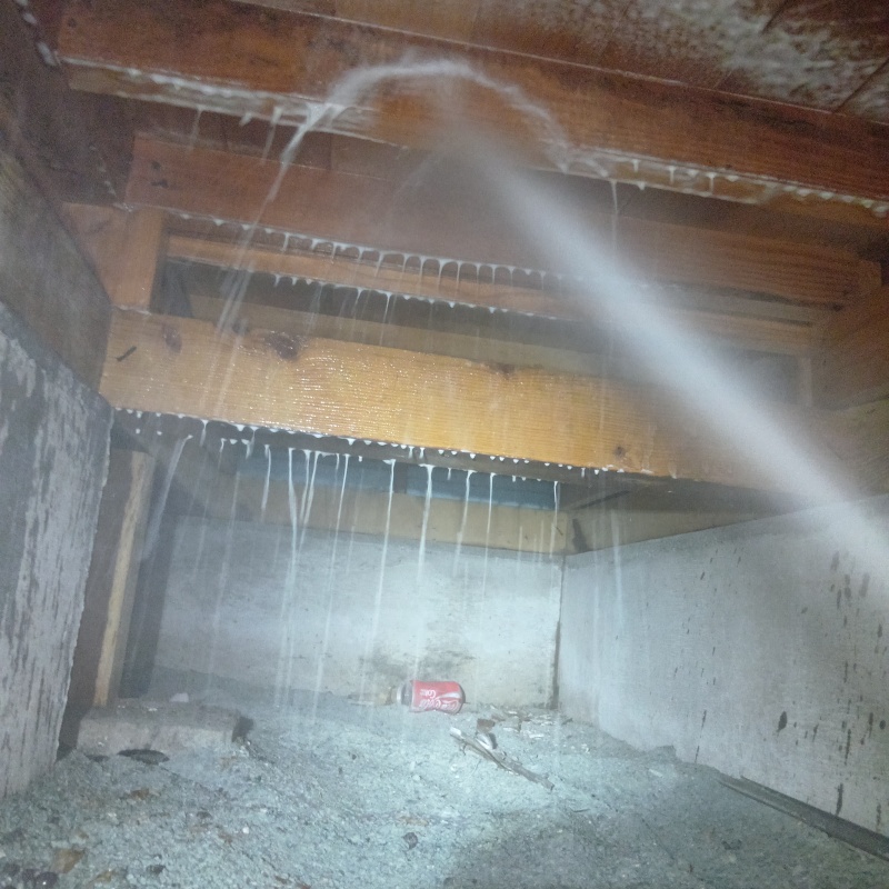 床下の木材にシロアリ駆除剤を散布