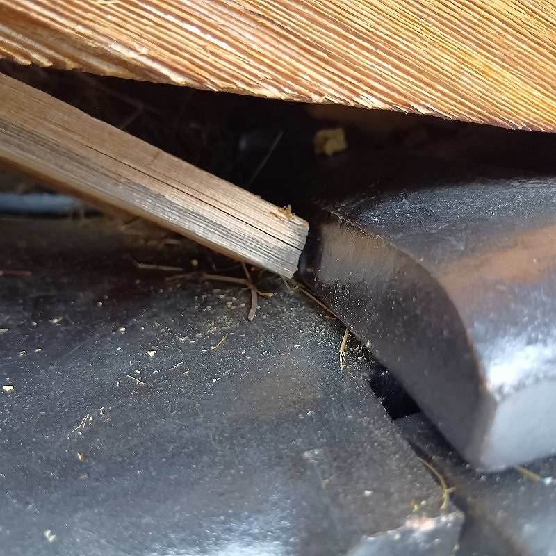 イタチが住み着いていたすき間