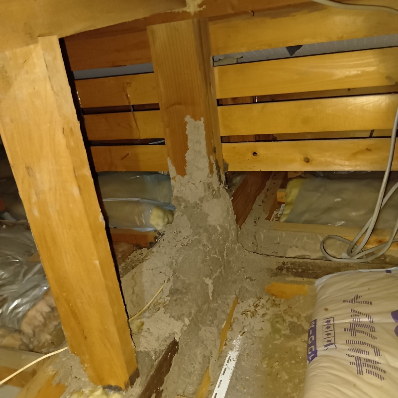 シロアリ駆除の施工事例（熊本県玉名市大倉）