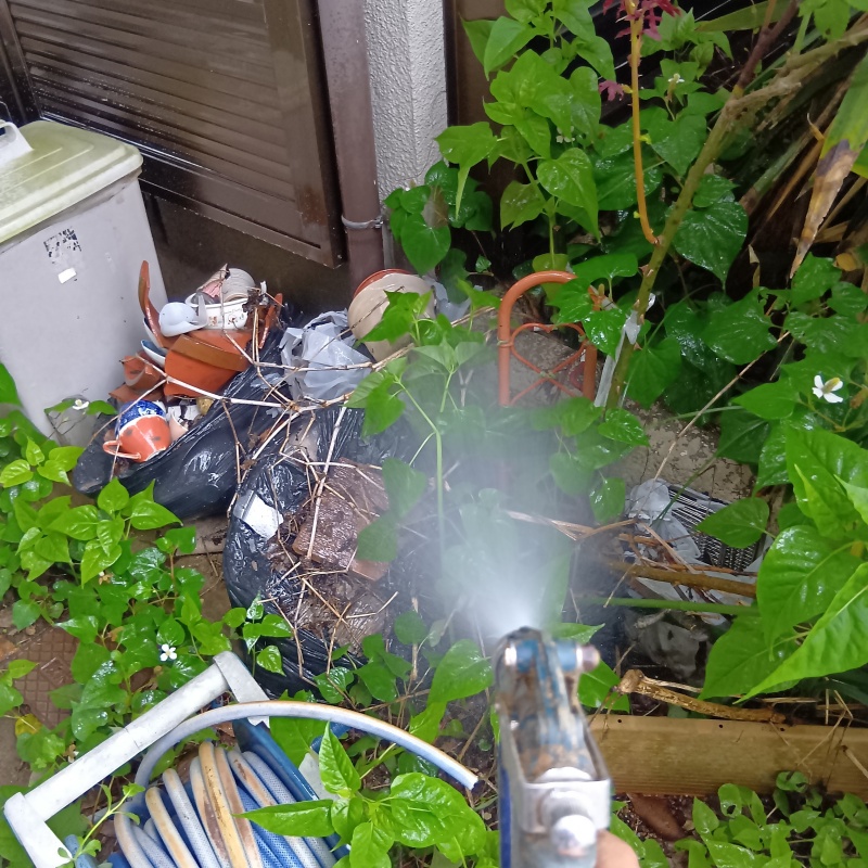 庭の草木や土壌にシロアリ駆除剤を散布