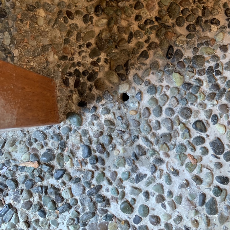 防蟻剤注入のために玄関床を開口