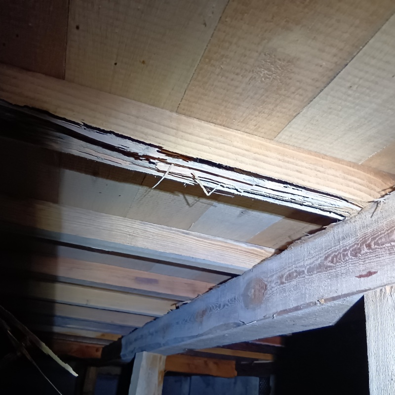 築年数50年のシロアリ駆除の施工事例（石川県能美市粟生町）