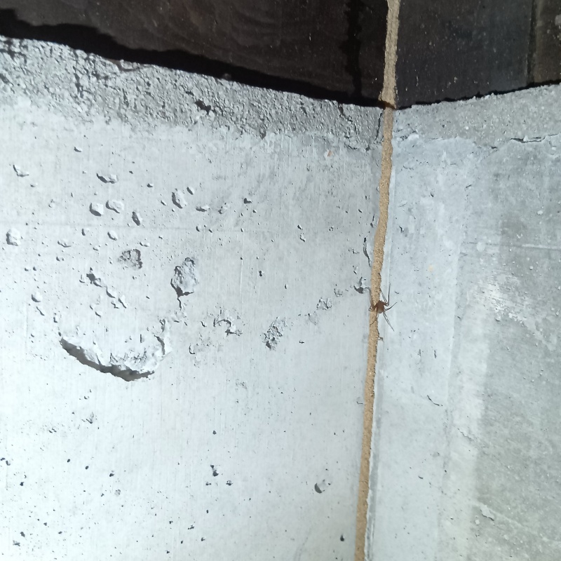 築年数45年のシロアリ駆除の施工事例（熊本県熊本市南区富合町古閑）