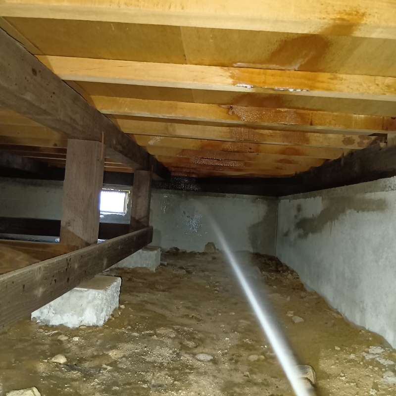 床下の基礎にシロアリ駆除剤を散布