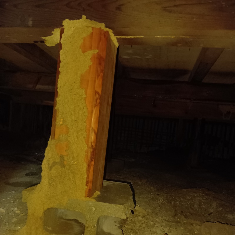 築年数50年のシロアリ駆除の施工事例（福岡県北九州市若松区浜町）