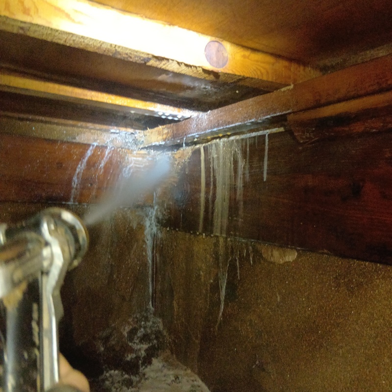 床下の木部にシロアリ駆除剤を散布