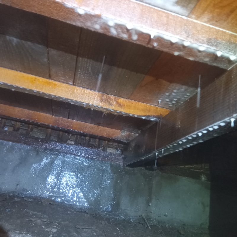 床下の基礎にシロアリ駆除剤を散布