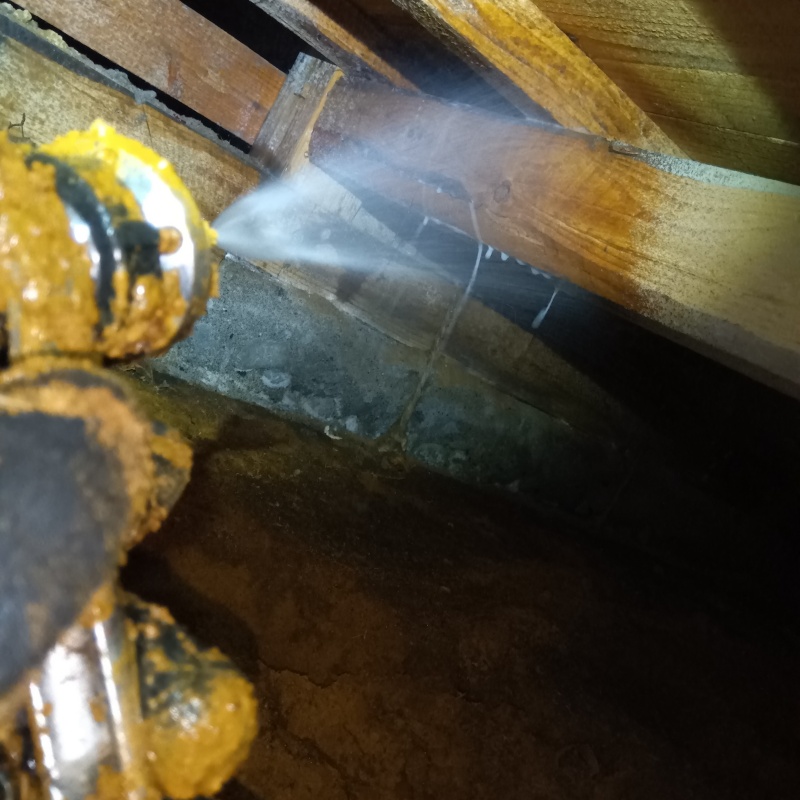 床下の木部にシロアリ駆除剤を散布