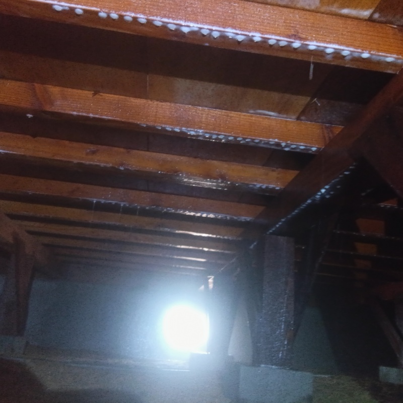 床下の木部に防蟻剤を散布