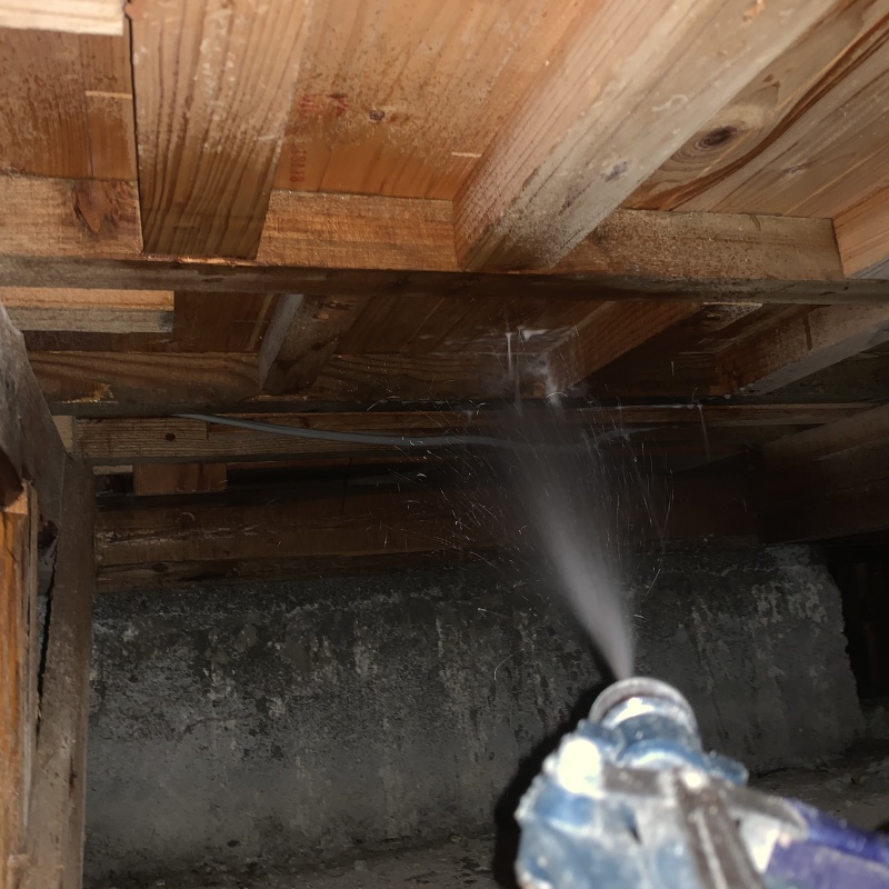 床下の木部にシロアリ駆除剤を散布