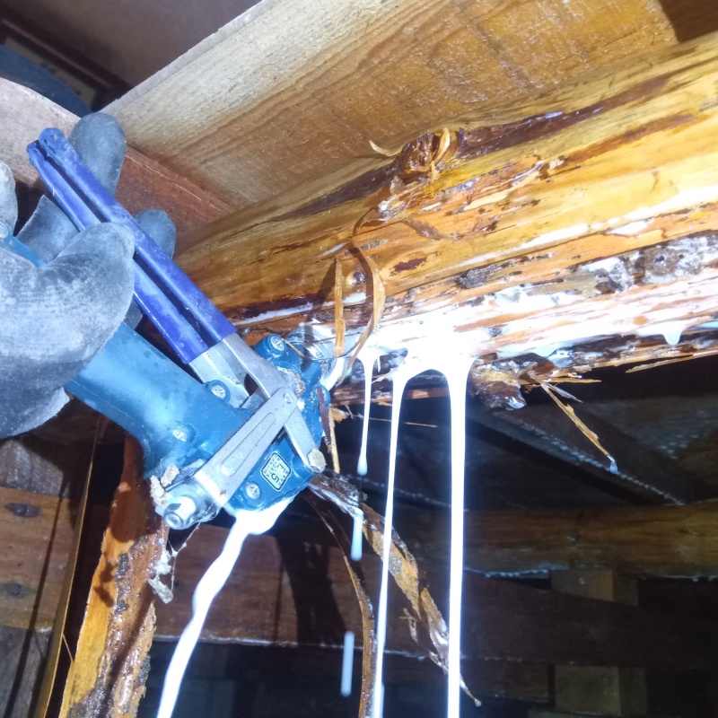 築年数50年のシロアリ駆除の施工事例（広島県三原市沼田）
