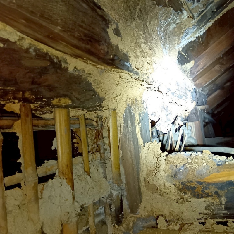 シロアリ駆除の施工事例（福岡県福岡市中央区白金）