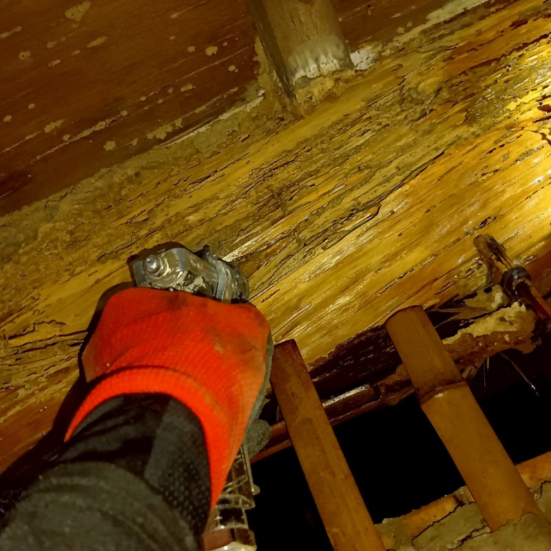 床下の木部にシロアリ駆除剤を注入